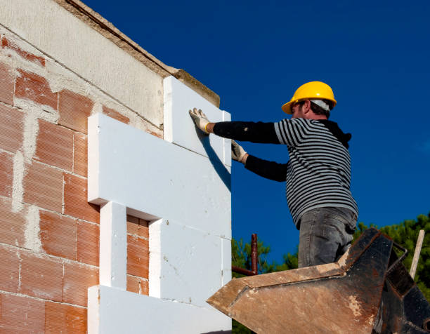 Best Cellulose Insulation in Cheval, FL