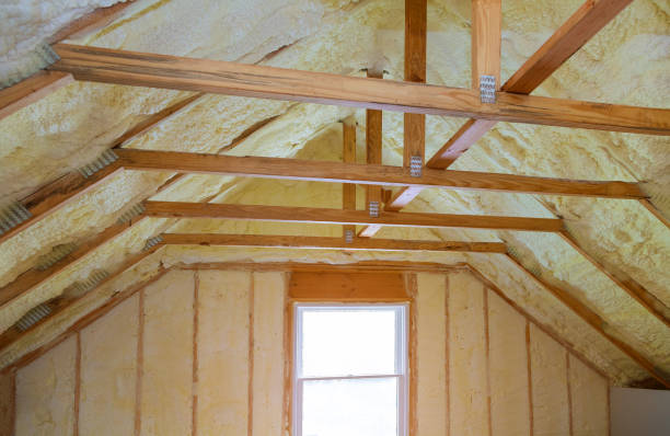 Types of Insulation We Offer in Cheval, FL