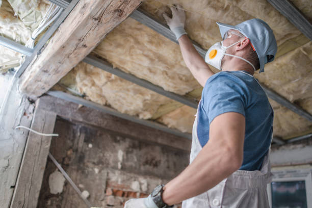 Best Insulation Maintenance and Repair in Cheval, FL