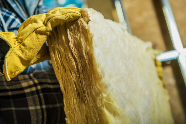 Best Specialized Insulation Services in Cheval, FL